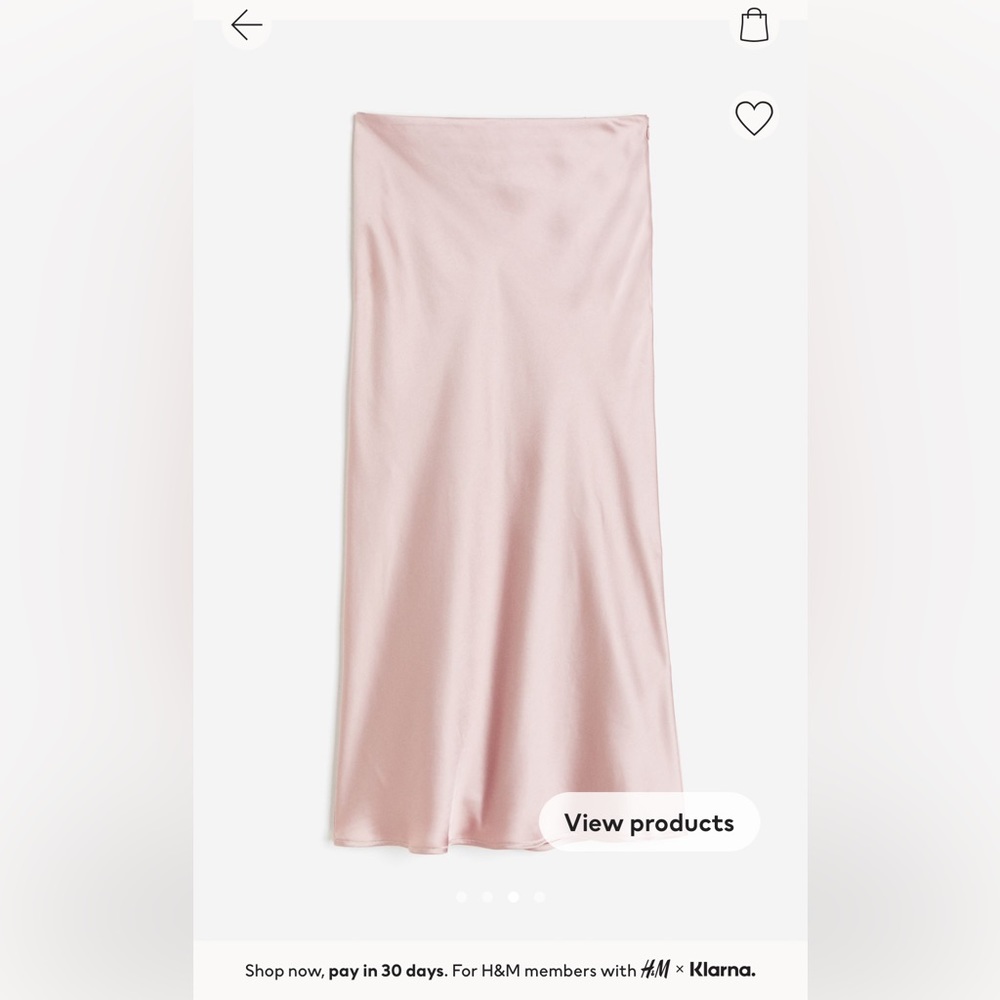Satin Skirt NWT